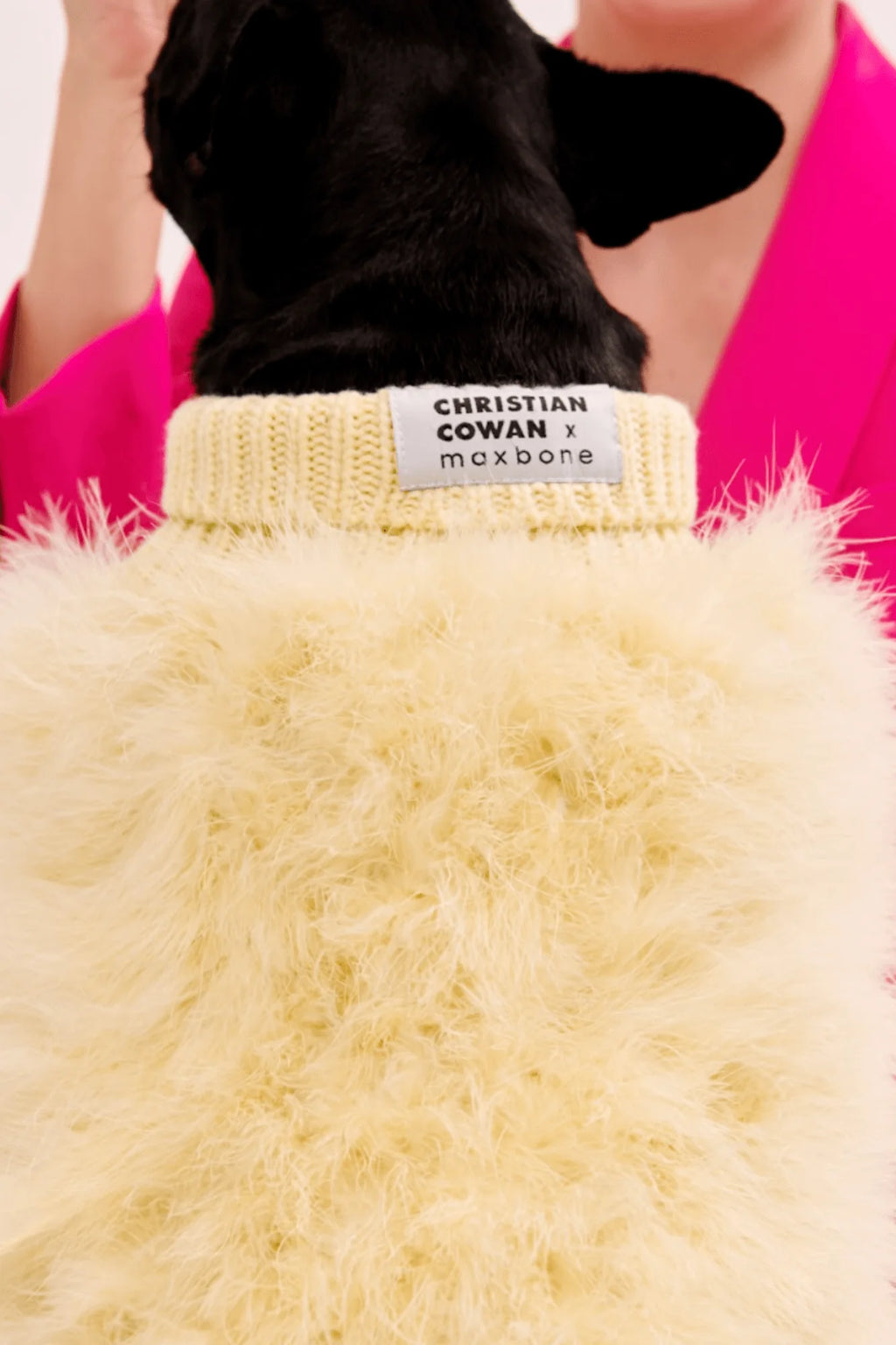 Christian Cowan X Maxbone Jumper