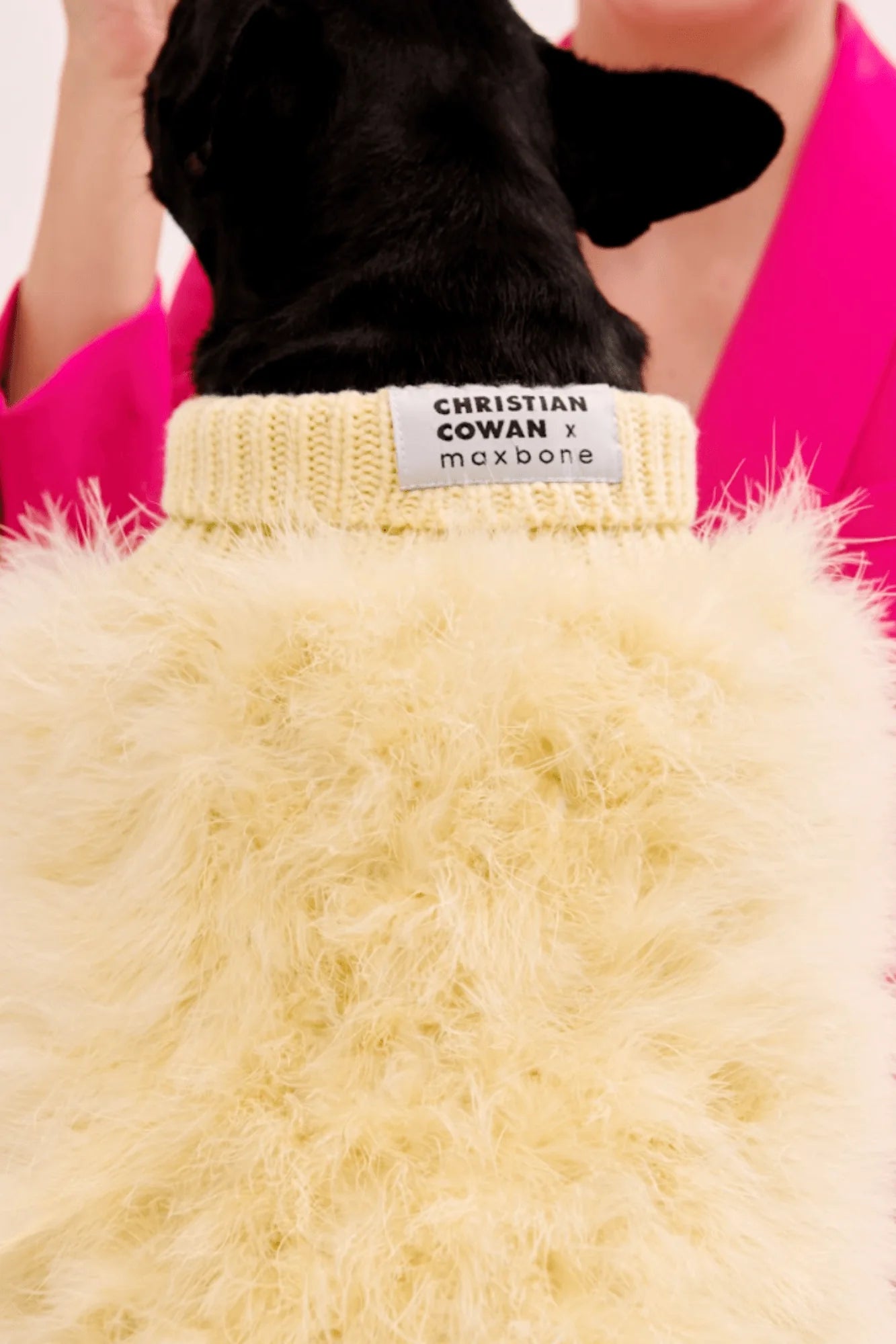 Christian Cowan X Maxbone Jumper