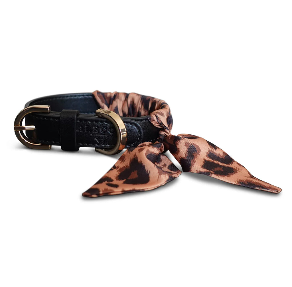 Dog Collar Twilly Leo