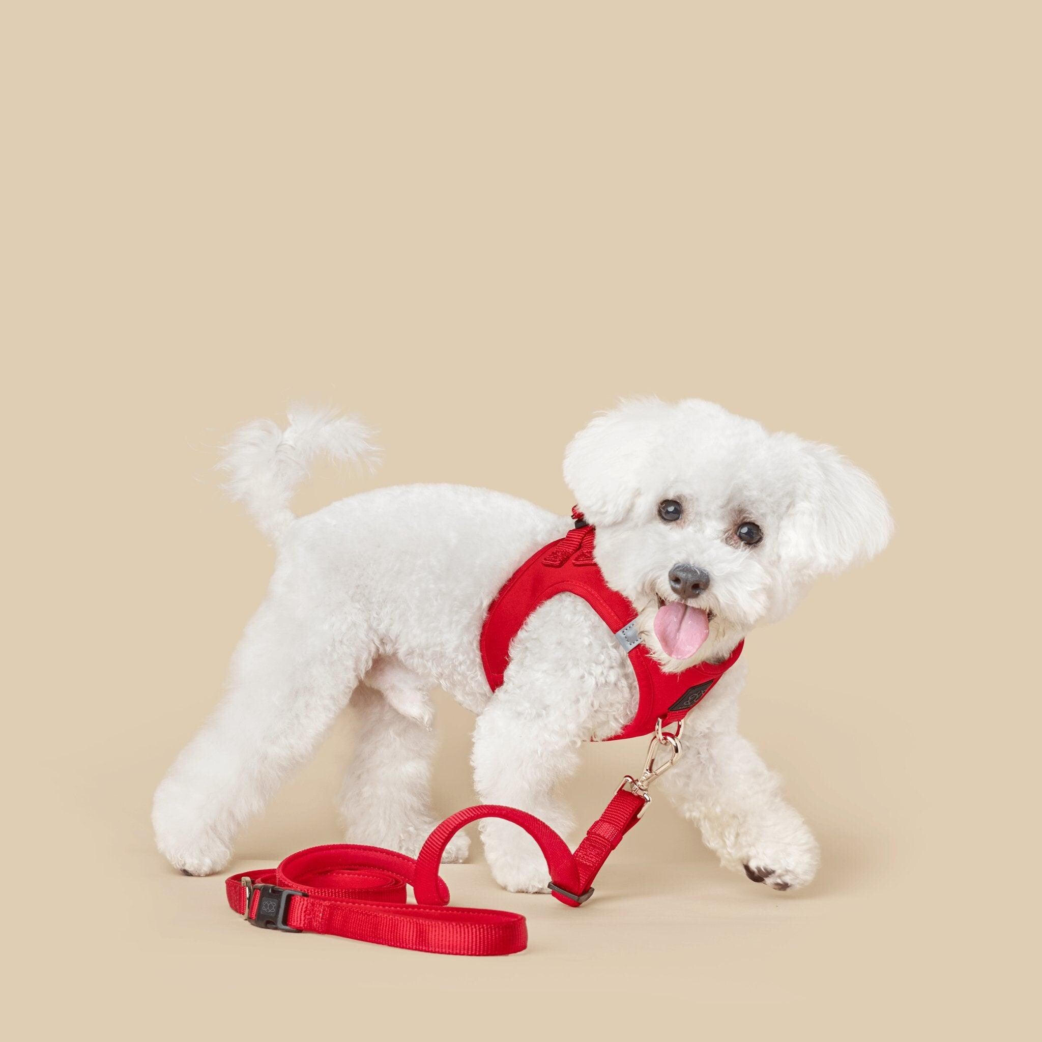 Soho Dog Walking Set - Iconic Red