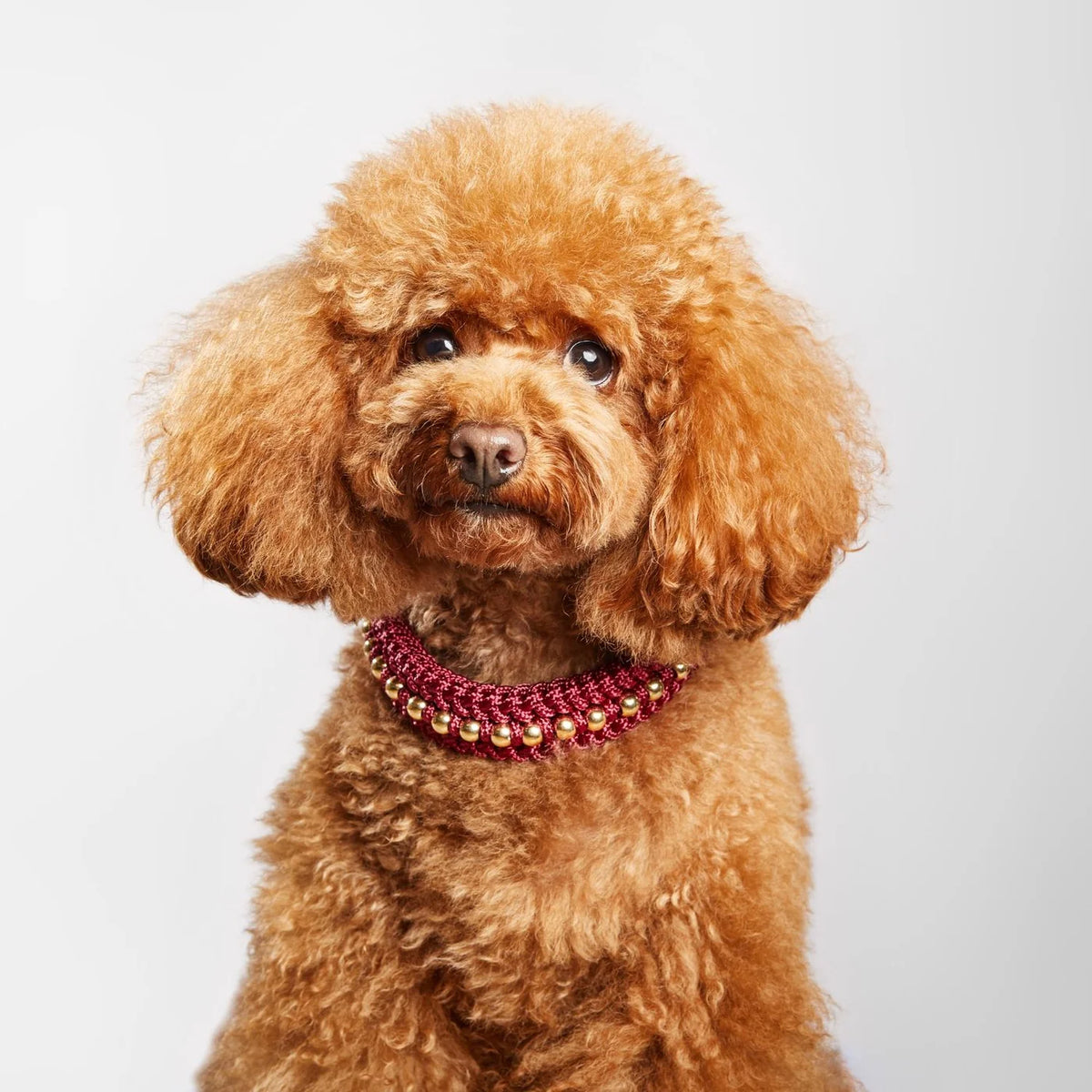 Valentina Collar & Leash Set – Scarlet Red