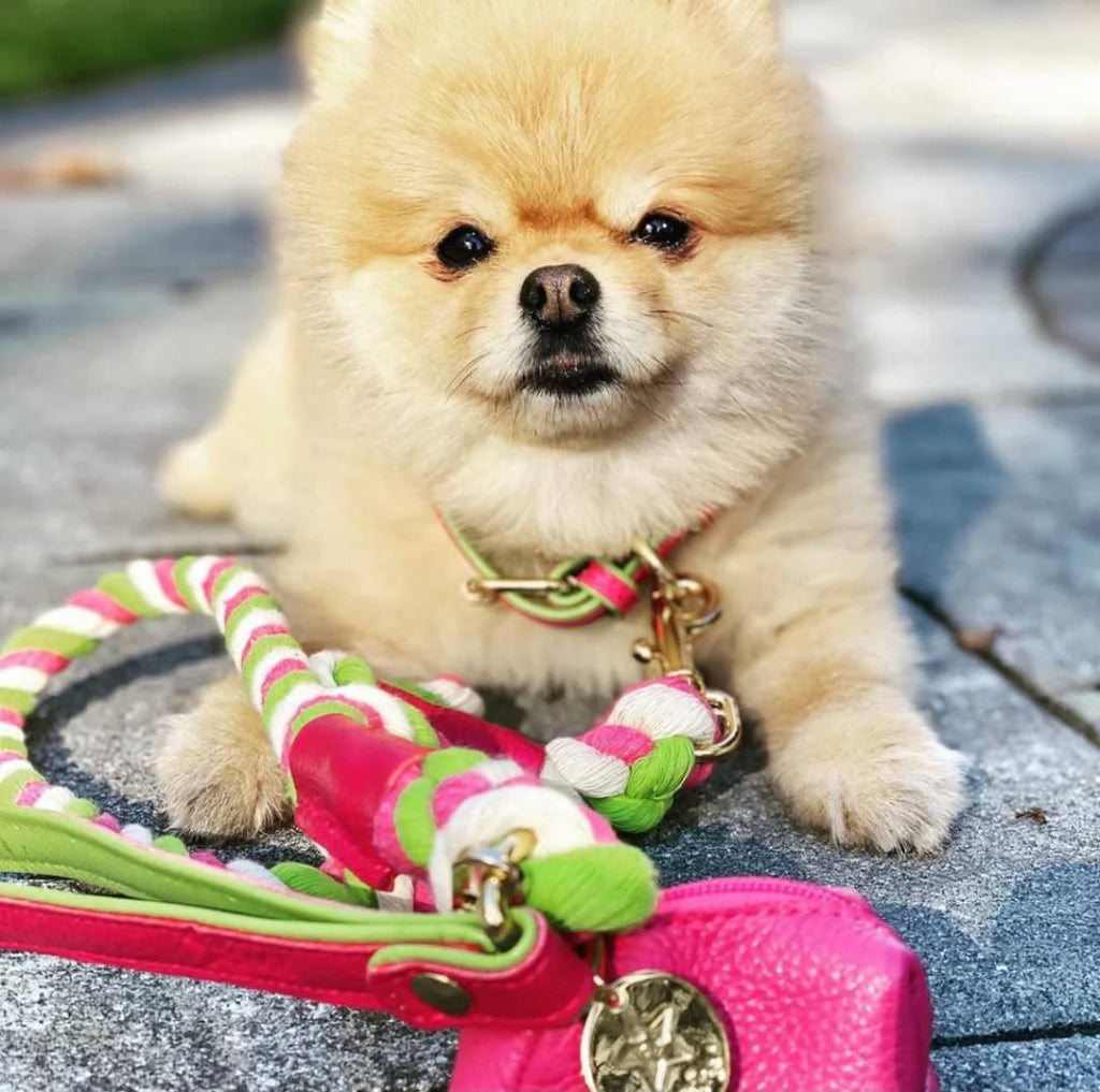  The Leather Poop Bag Holder