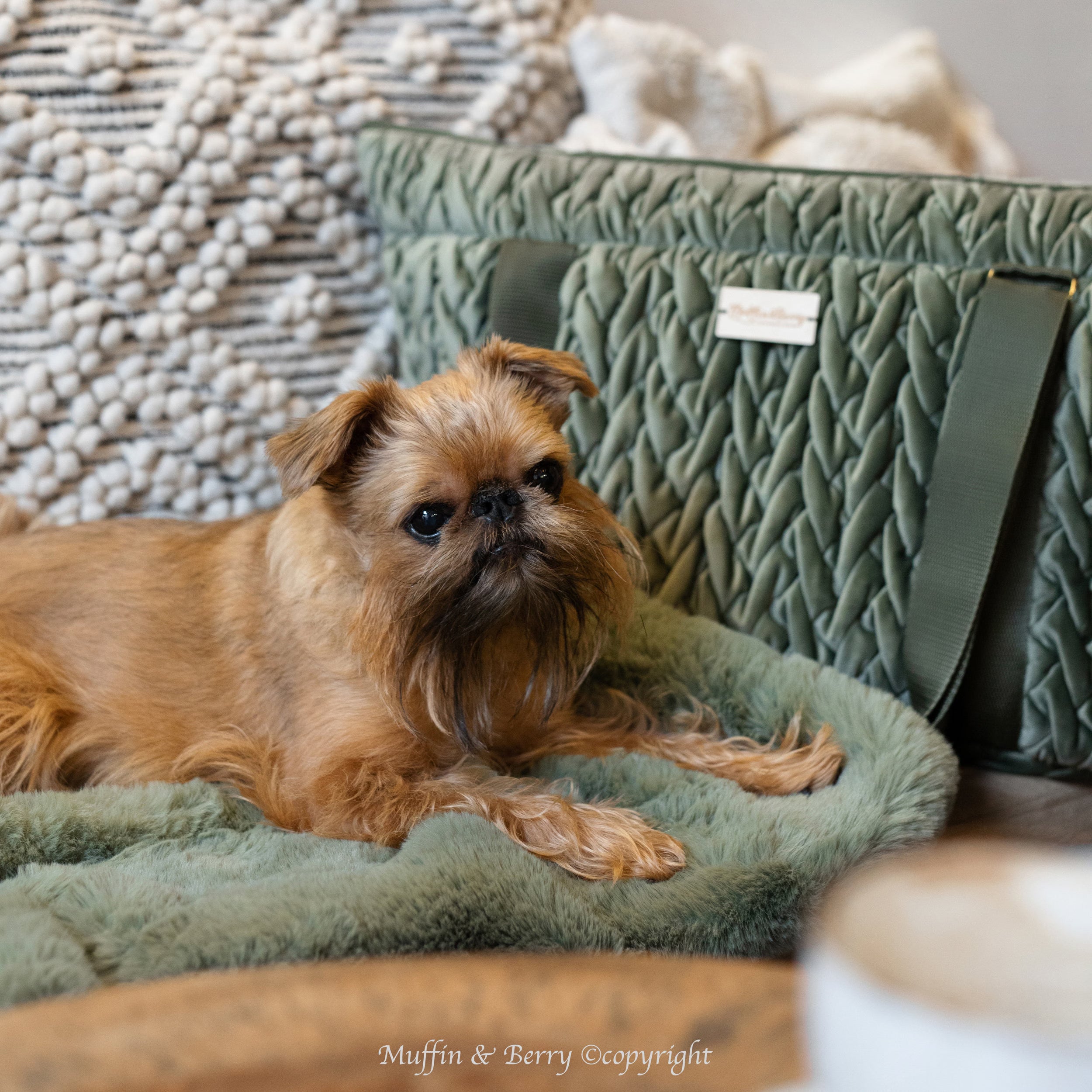 Velour Luxury Pet Carrier