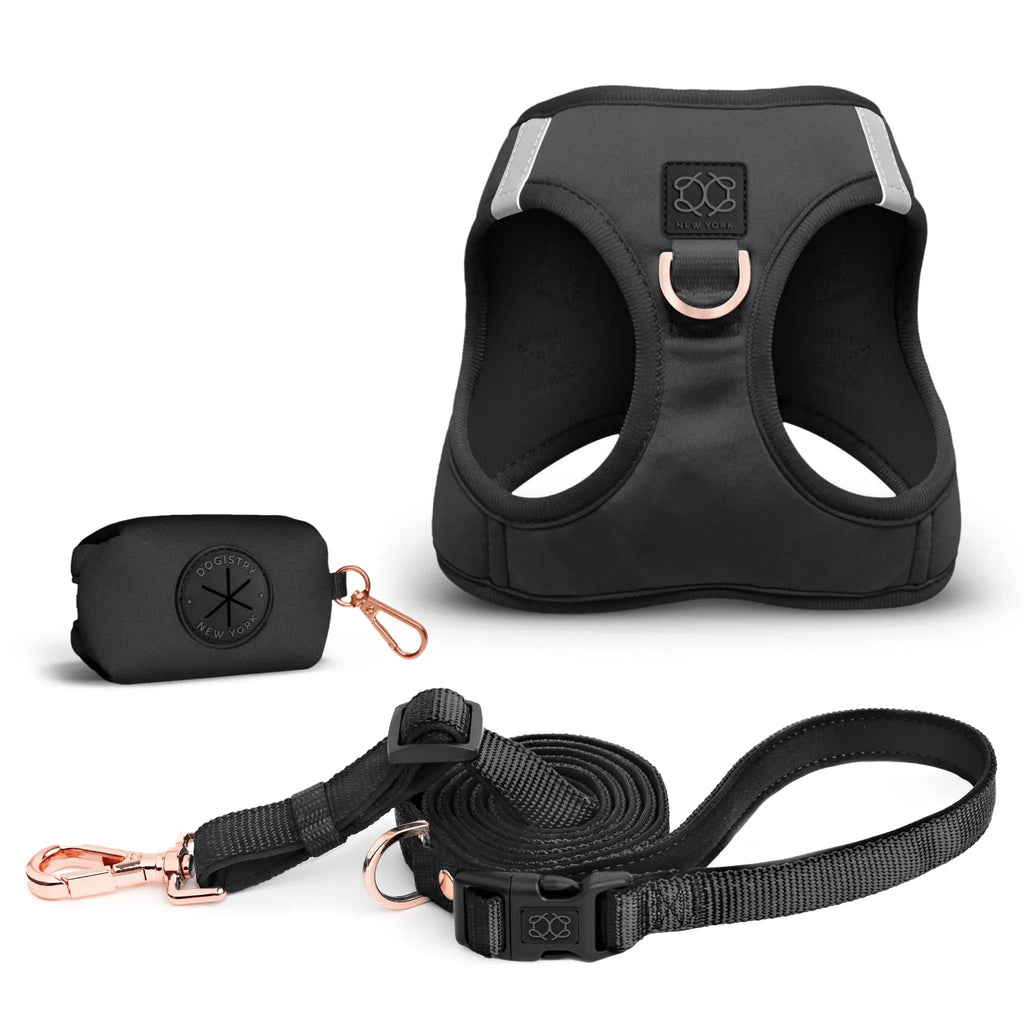Soho Dog Walking Set - Black