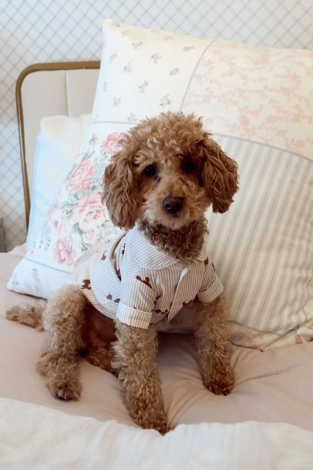 Doodle Dog Pajama Shirt – Brown & White