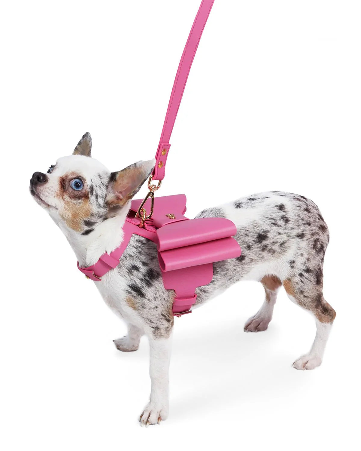 The Pink Bow Dog Harness 