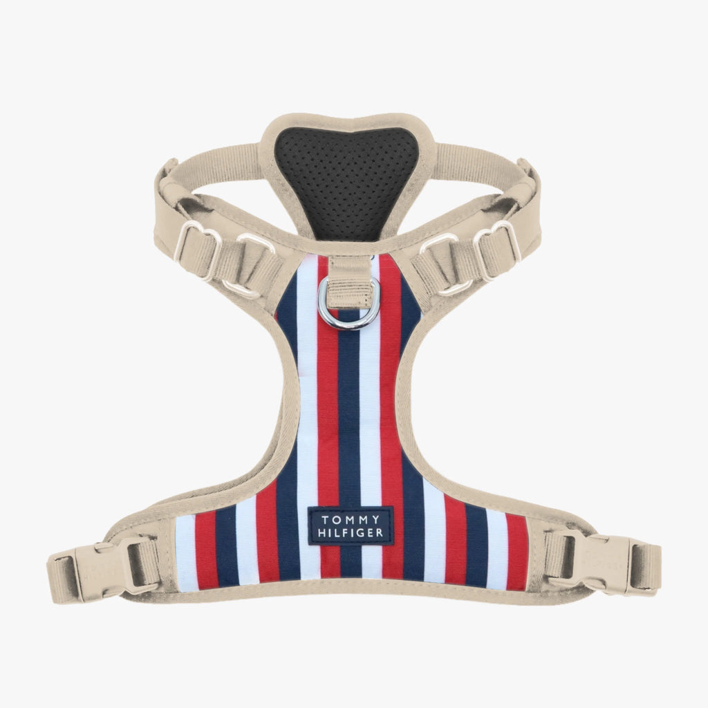 Dog Harness