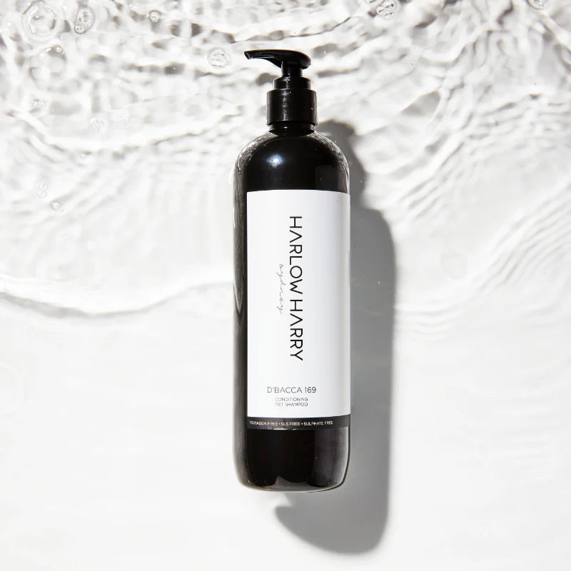 Conditioning Shampoo | D'Bacca 169