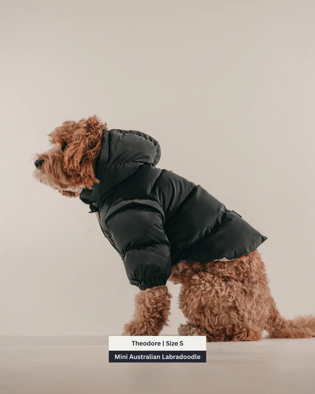 Midnight | the Modular Puffer