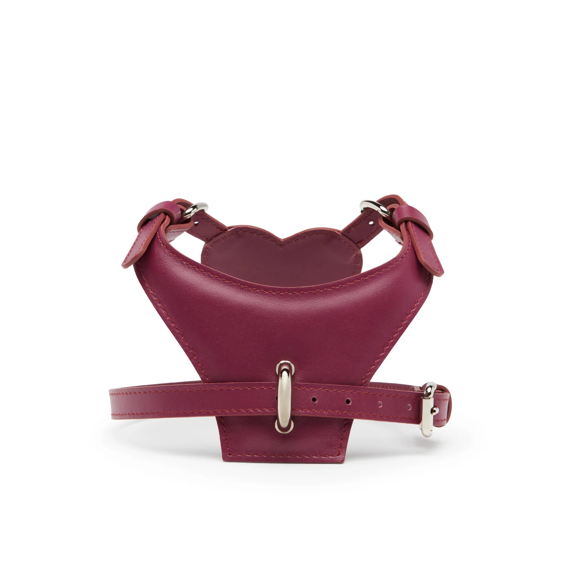 HEART HARNESS