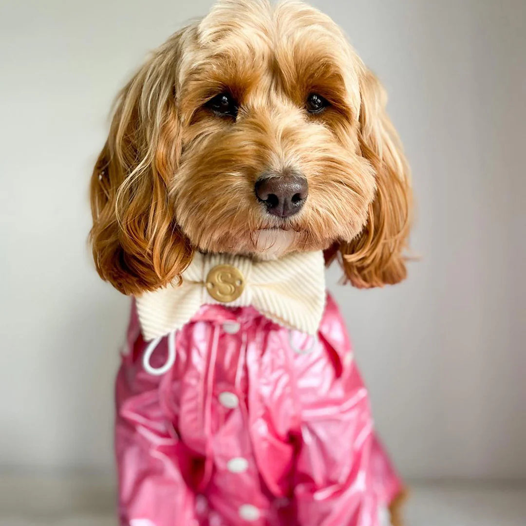 Raincoat - Hot Pink