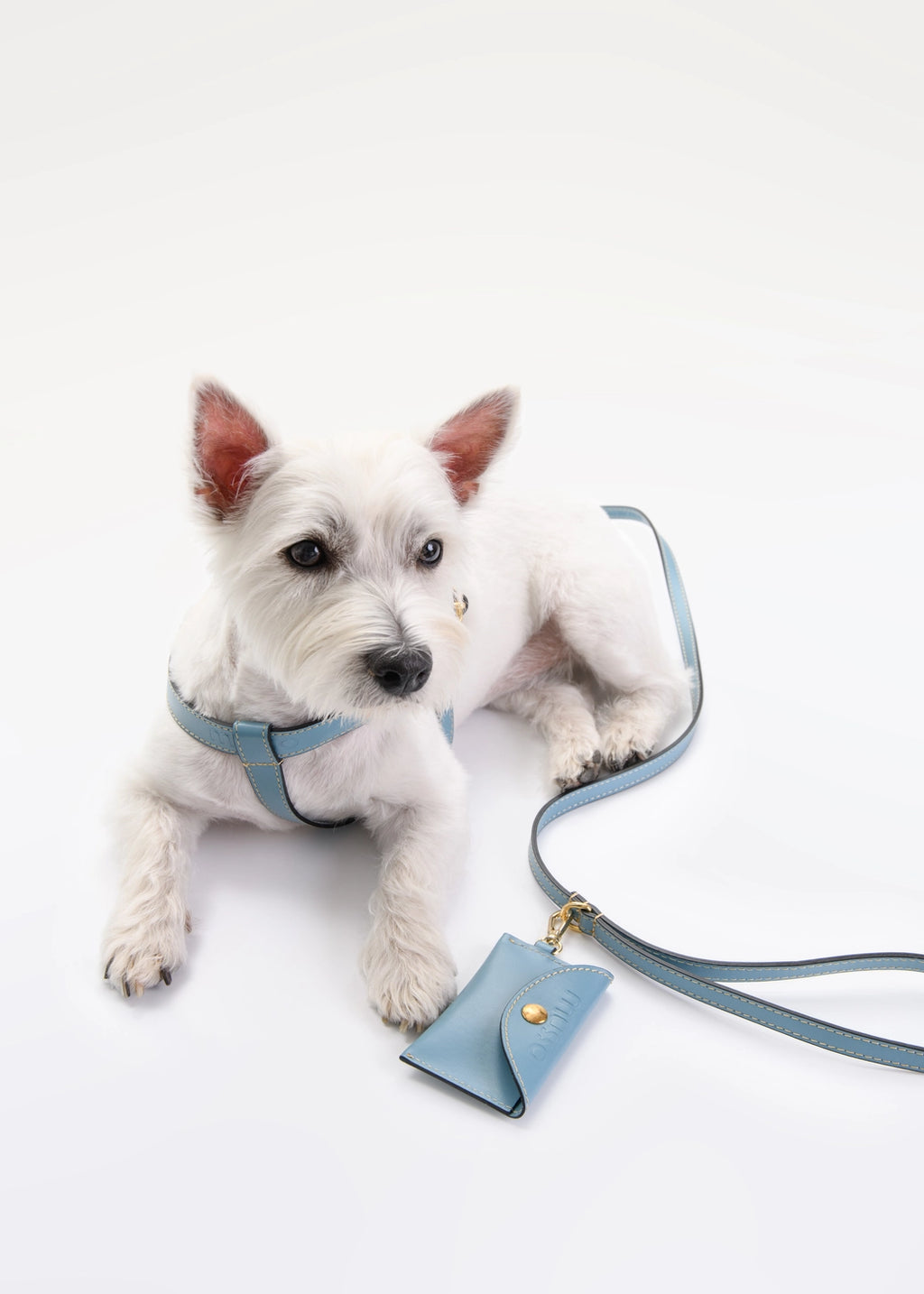 The Azzurro Harness Set