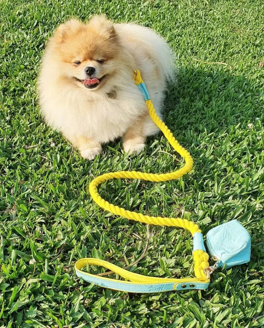  The Leather Poop Bag Holder