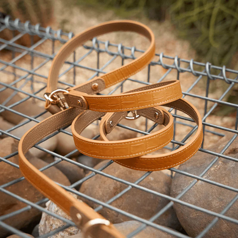 Amber Hands-Free Dog Leash