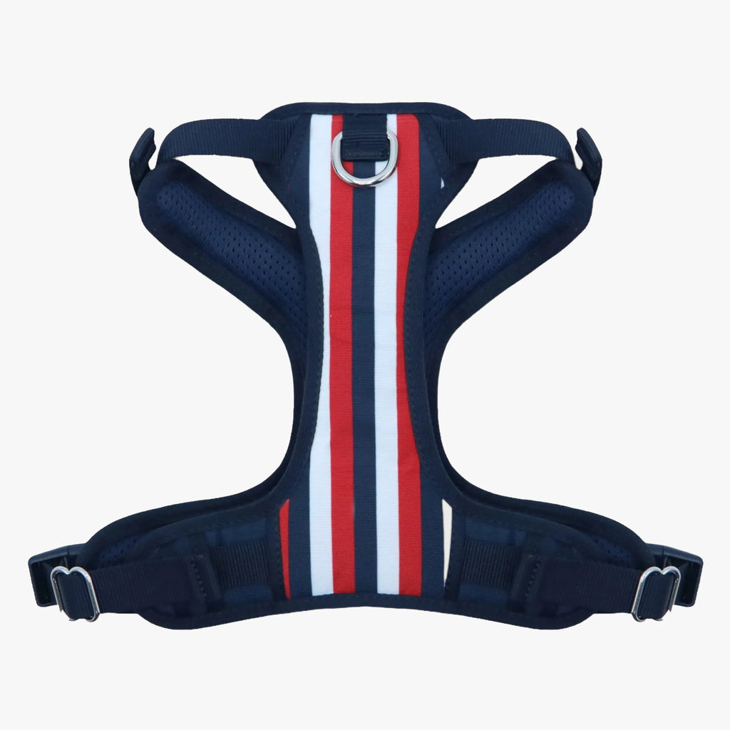 Dog Harness