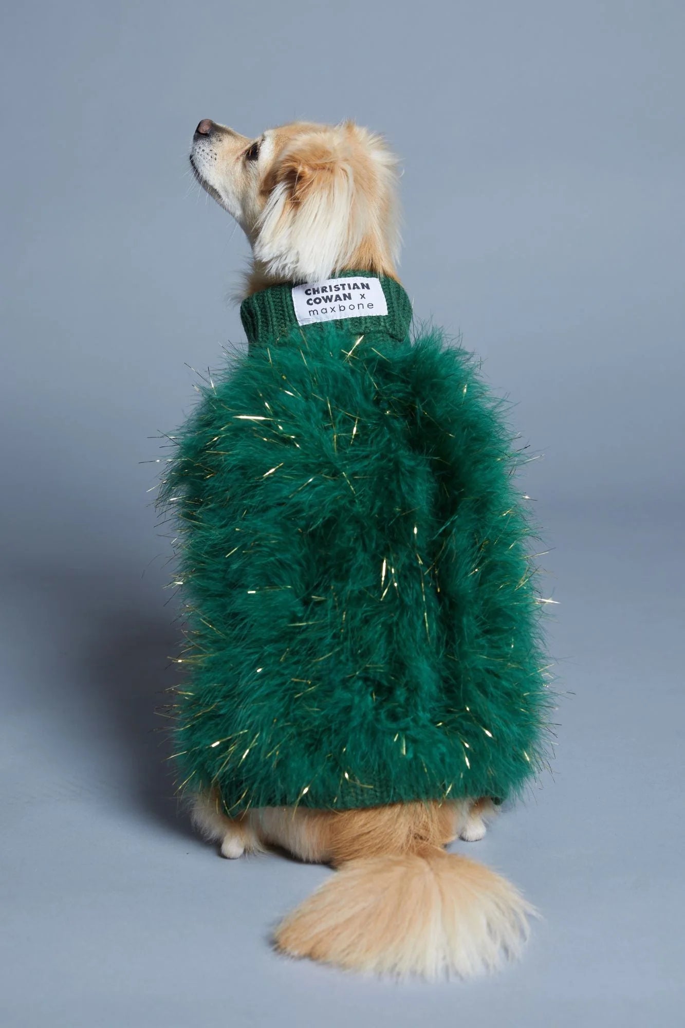 Christian Cowan Holiday Glitz Jumper