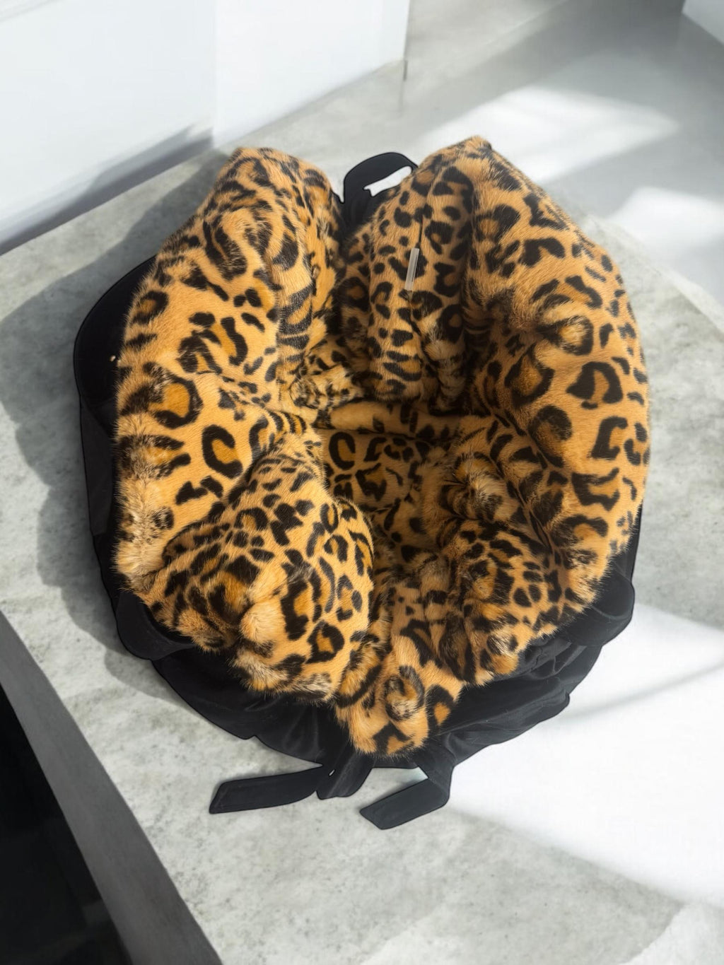 Luxury Leopard Dog Carrier & Velvet Bed