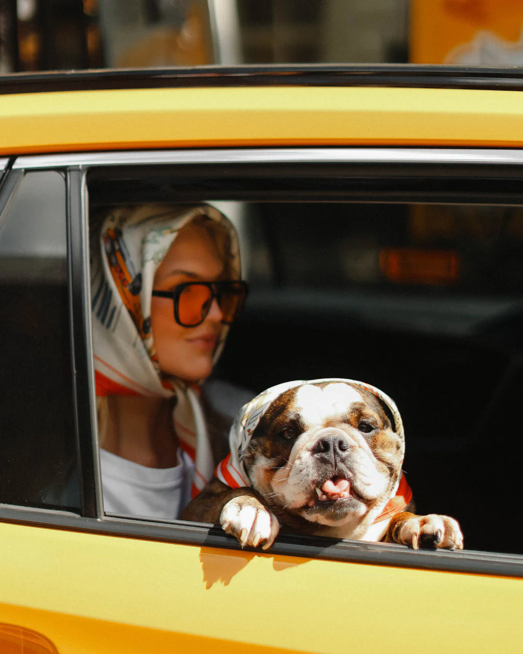Fifth Ave Fetch Scarf