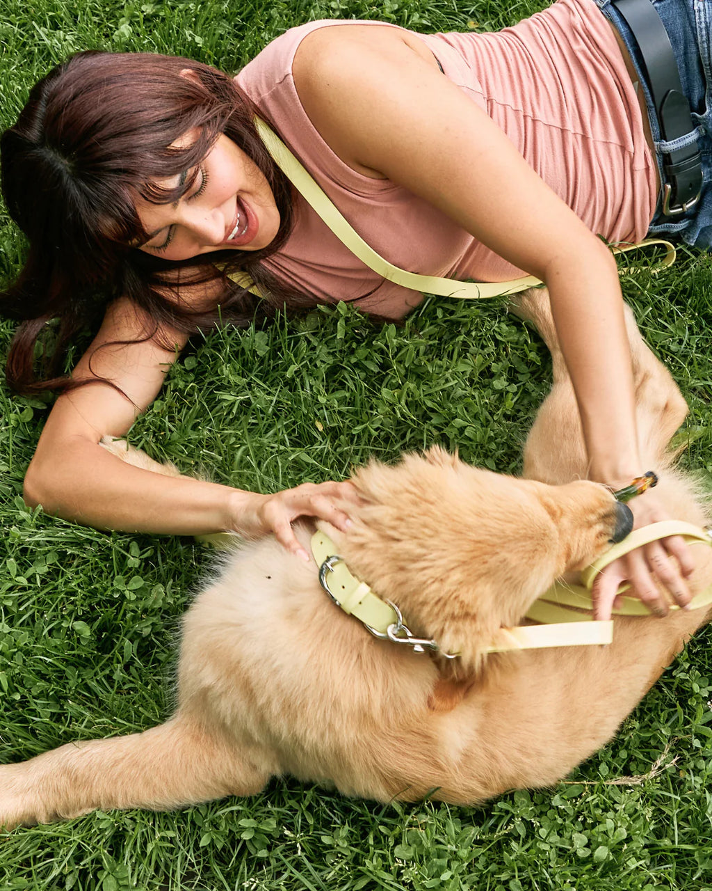 Social Butterfly Leash