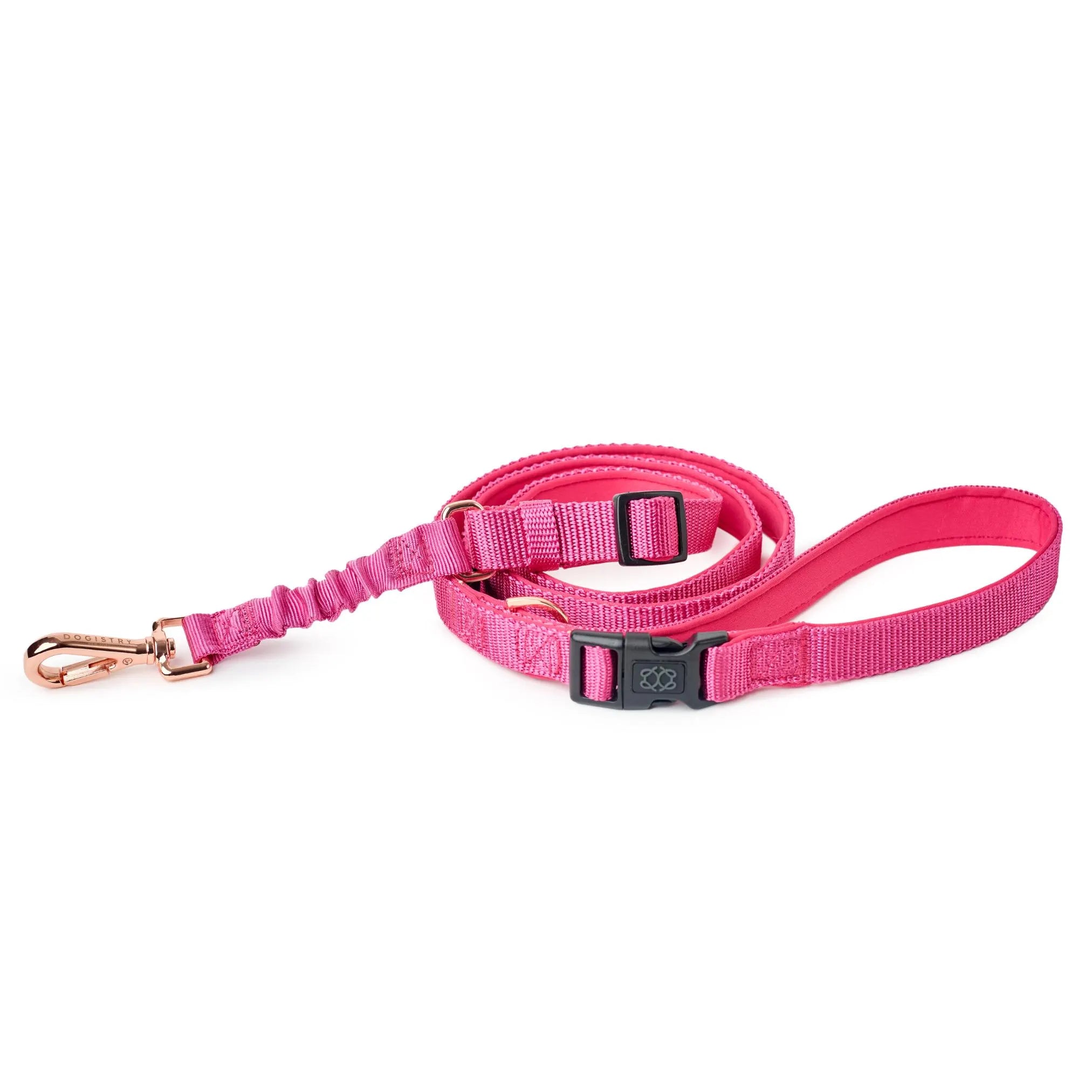 City Leash Set - Park Ave Pink