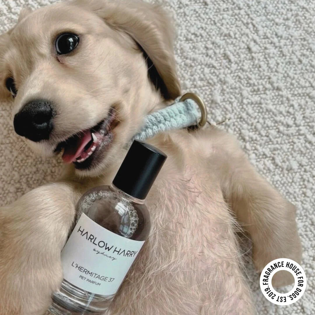 Dog Perfume | L'Hermitage 37