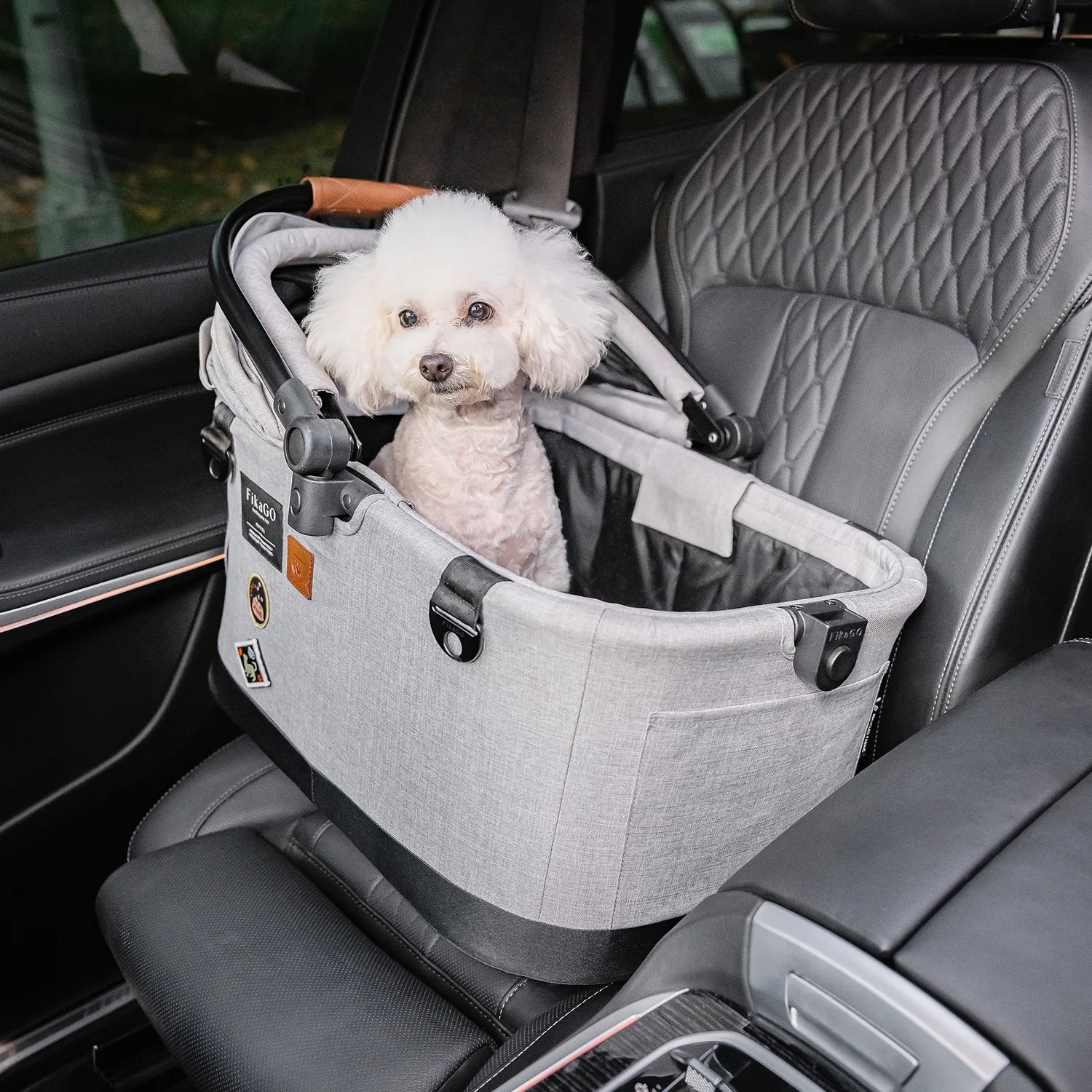 FLYTTA plus - Grey Husky