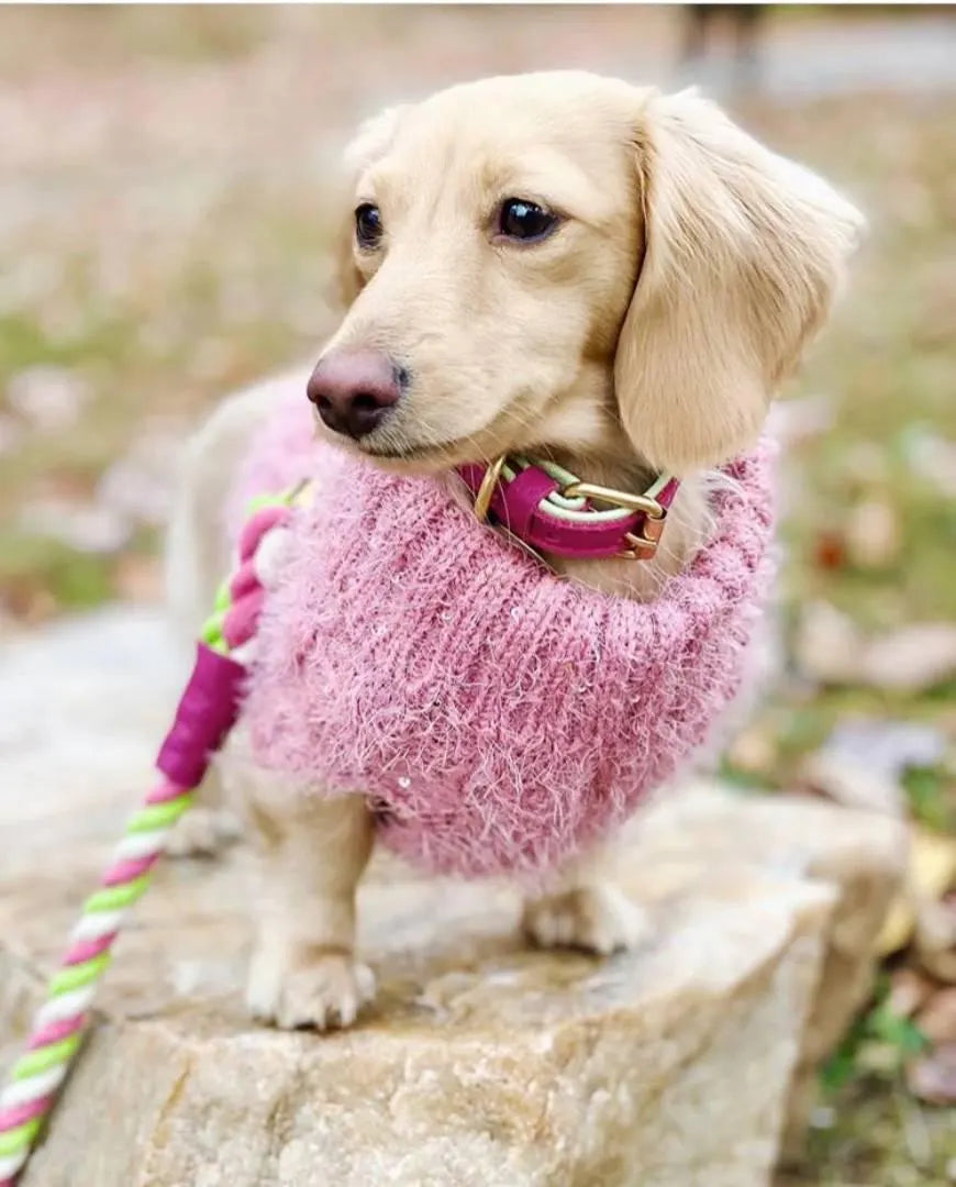 The Braided Rope Leather-Handle Leash