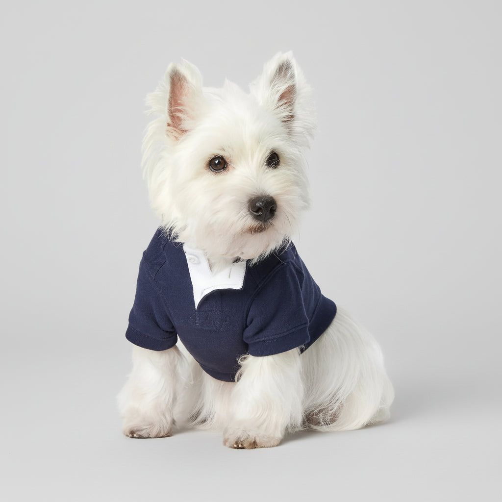 Polo Ralph Lauren Bear-Fleece Dog Hoodie