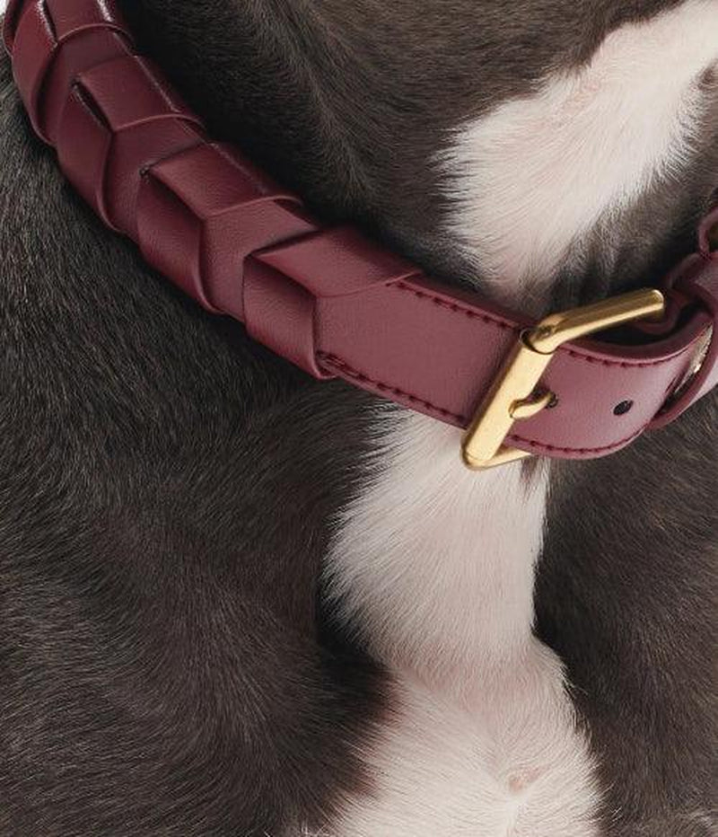 Mela Caspita Walk Set in Burgundy