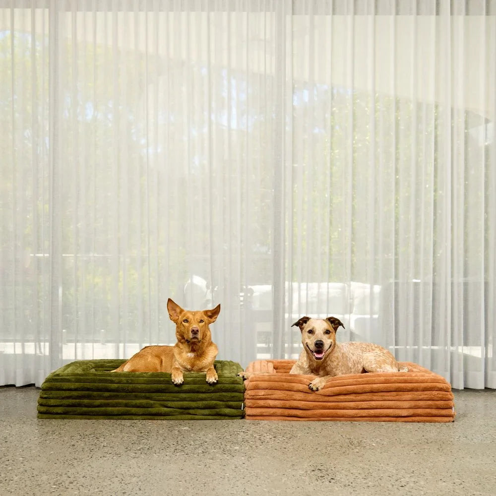 Memory Foam Dog Bed - Puffer Fern