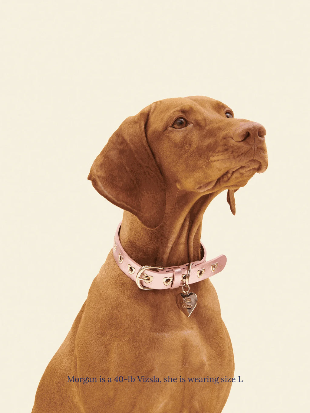 You Mean the World to Me Collar - Metallic Pink