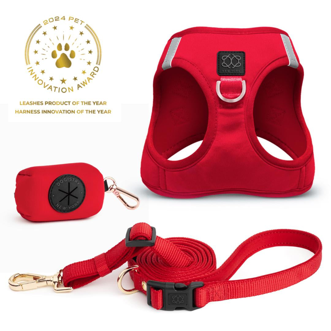 Soho Dog Walking Set - Iconic Red