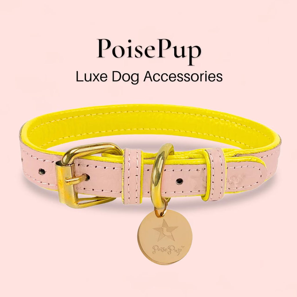 Handcrafted Leather Dog Collar