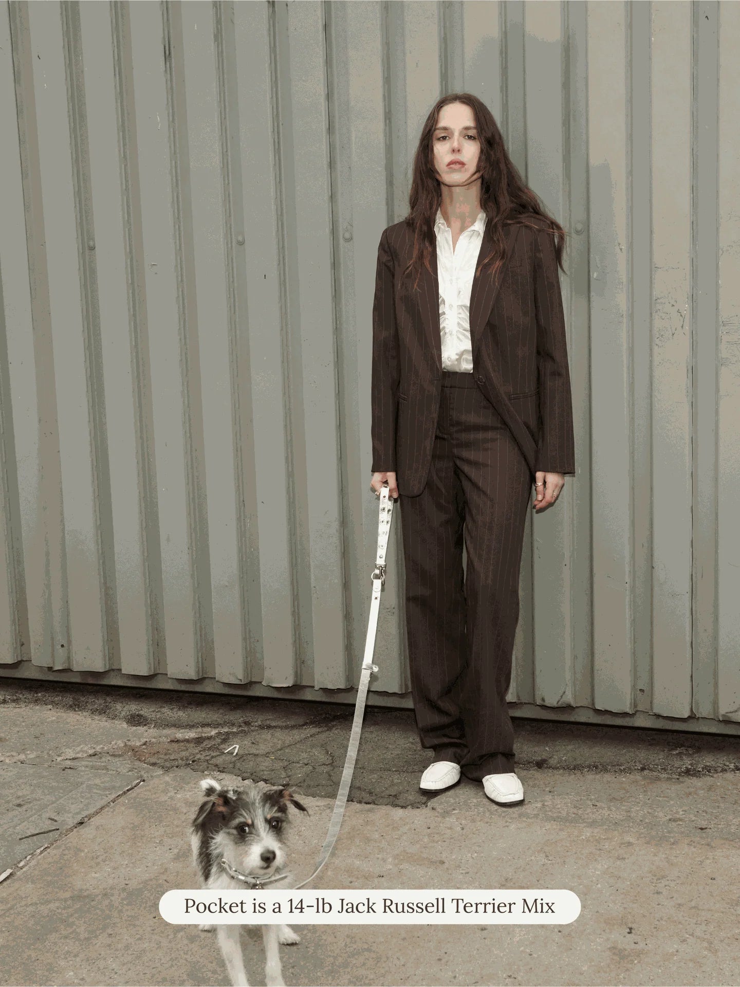 You Mean the World to Me Leash - Silver