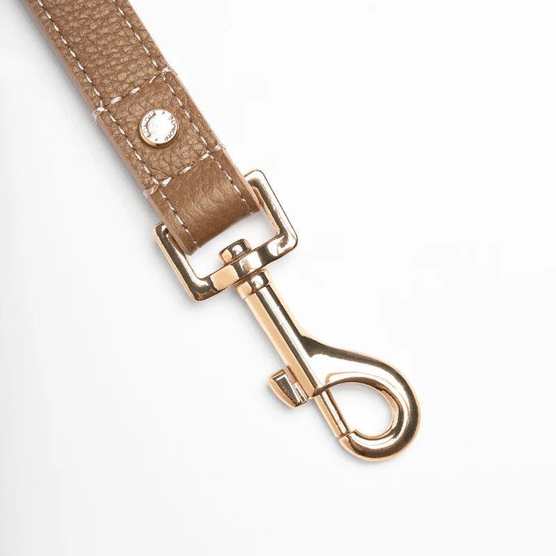 Blushwood Leather Dog Leash