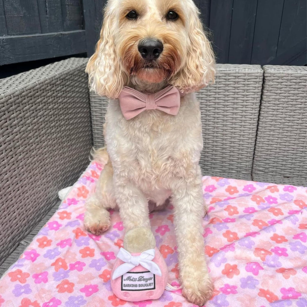 Miss Dogior - Plush Designer Toy