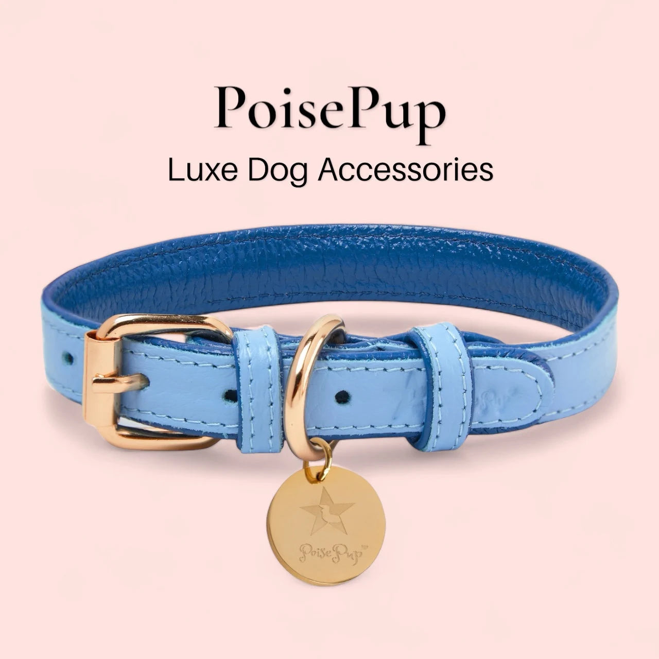 Handcrafted Leather Dog Collar