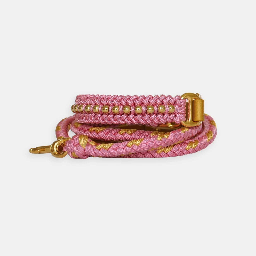 Valentina Blush Pink Collar
