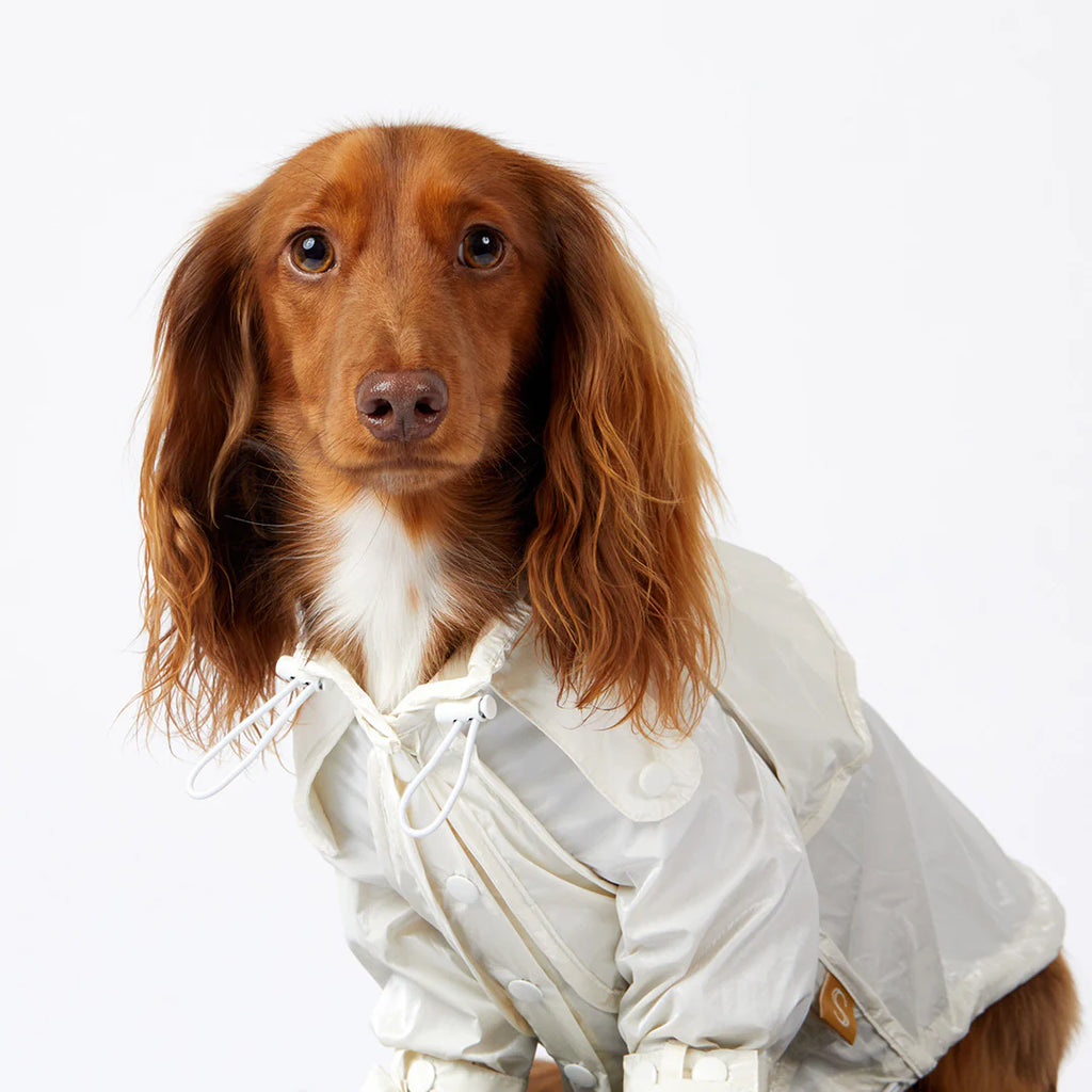 Raincoat - Pearl