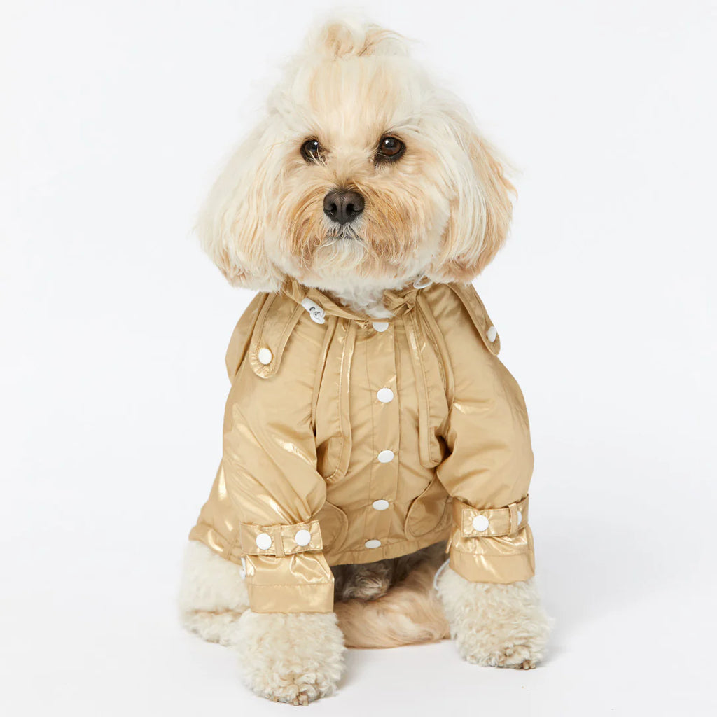 Raincoat - Gold