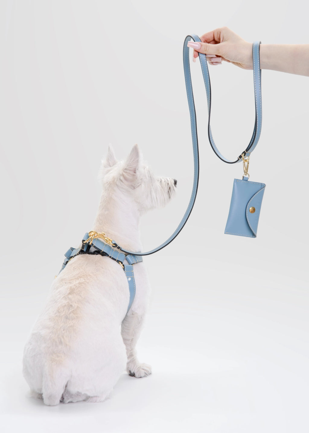 The Azzurro Harness Set