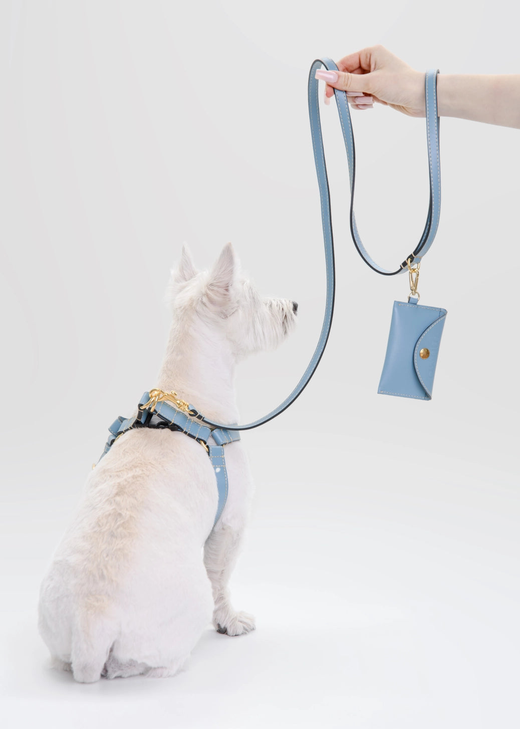 The Azzurro Harness Set