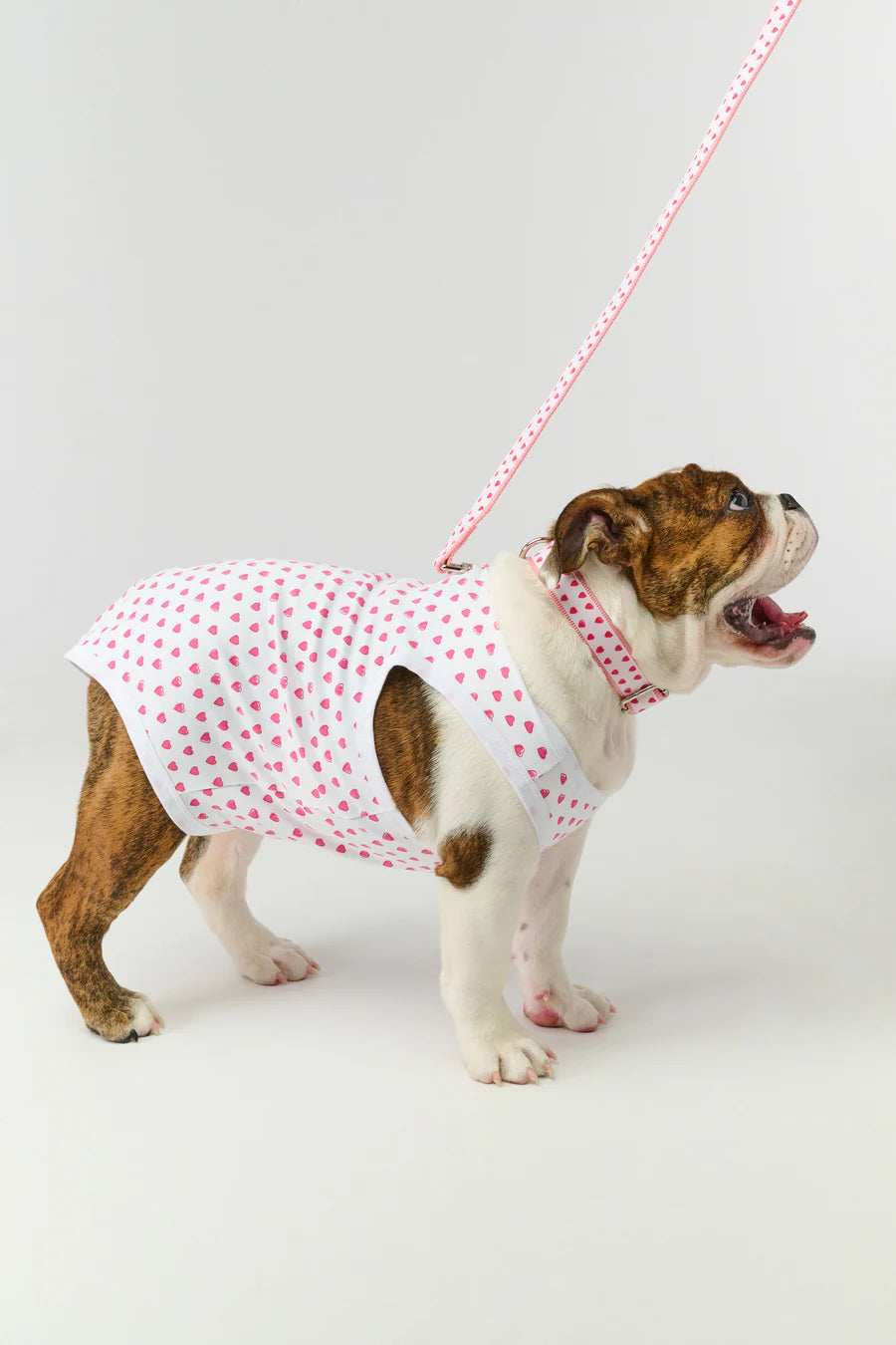 Hearts Dog Pajamas