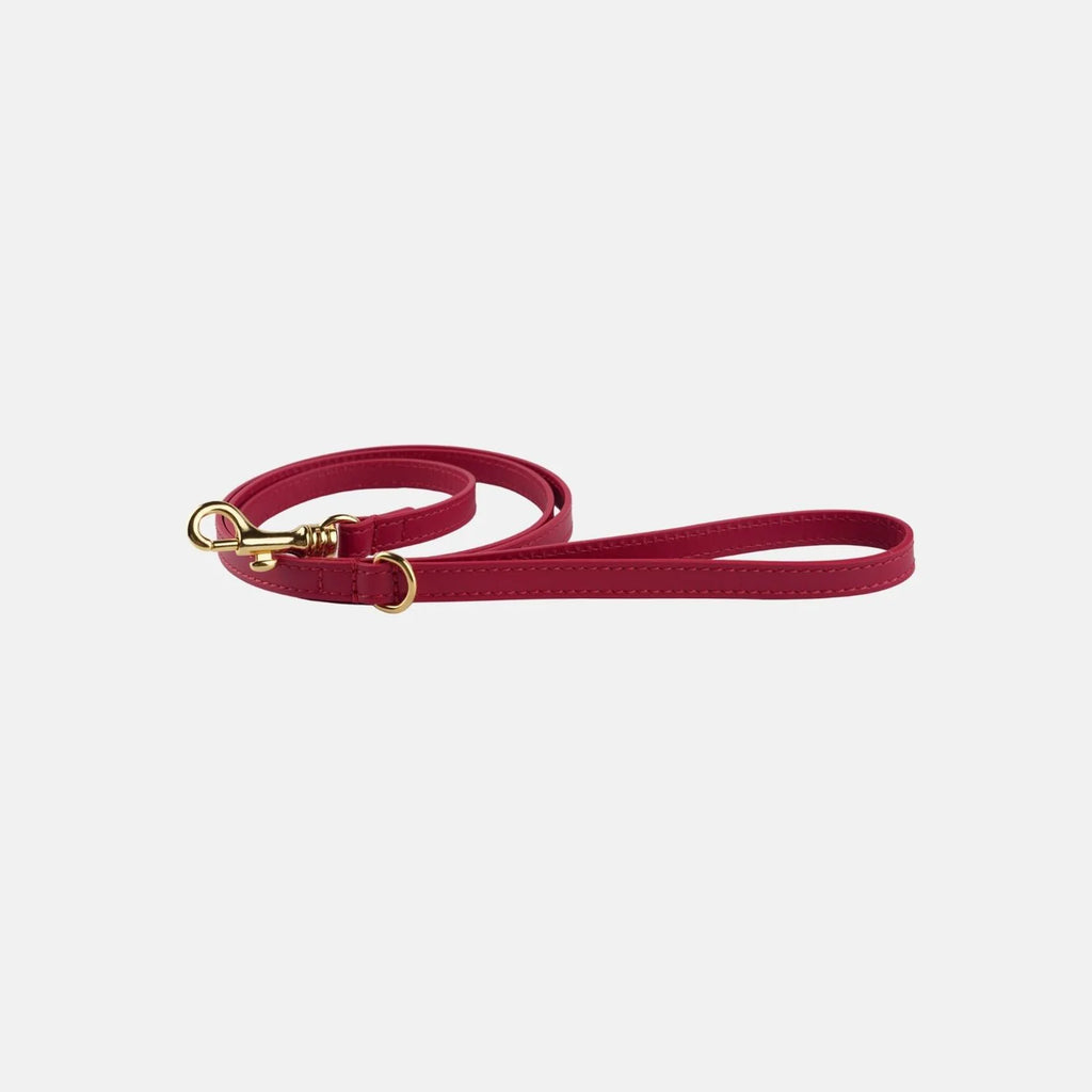 Leather Leash & Poop Bag Holder – Burgundy