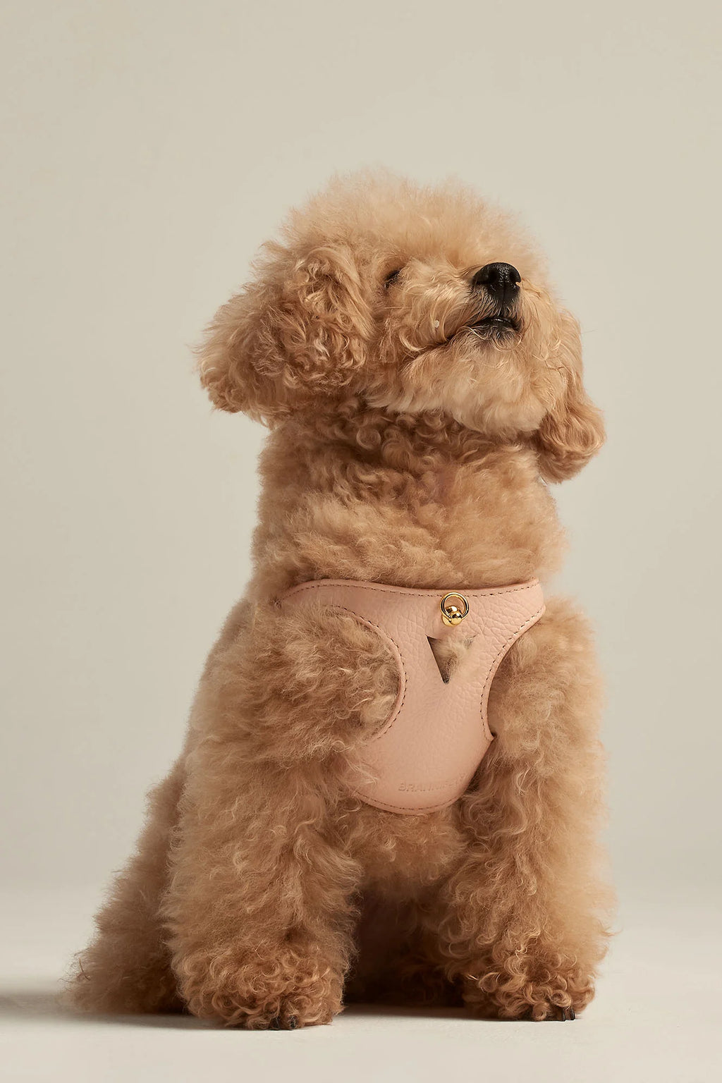 Peach Leather Juno Dog Harness