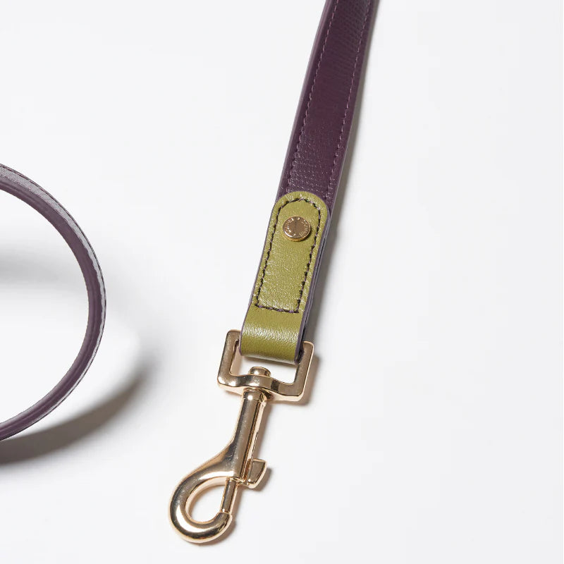 Purrble Hands-Free Dog Leash