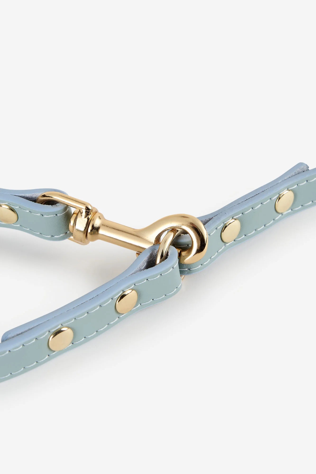Sky Blue Leather Nara Dog Lead