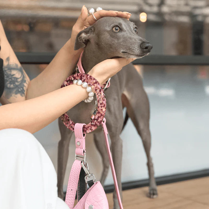 Flamingo Leather Dog Leash