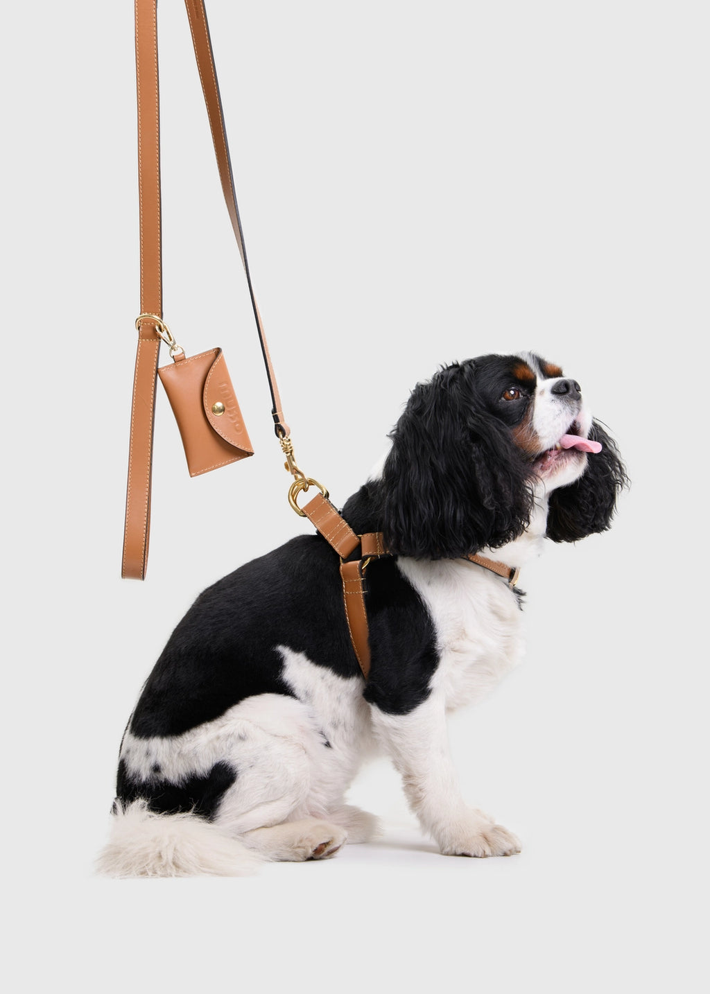 The Caramello Harness Set
