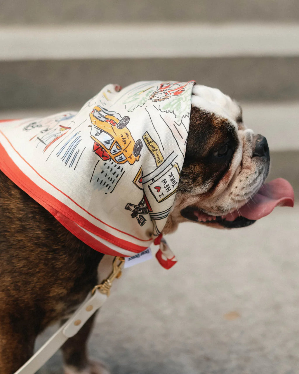 Fifth Ave Fetch Scarf
